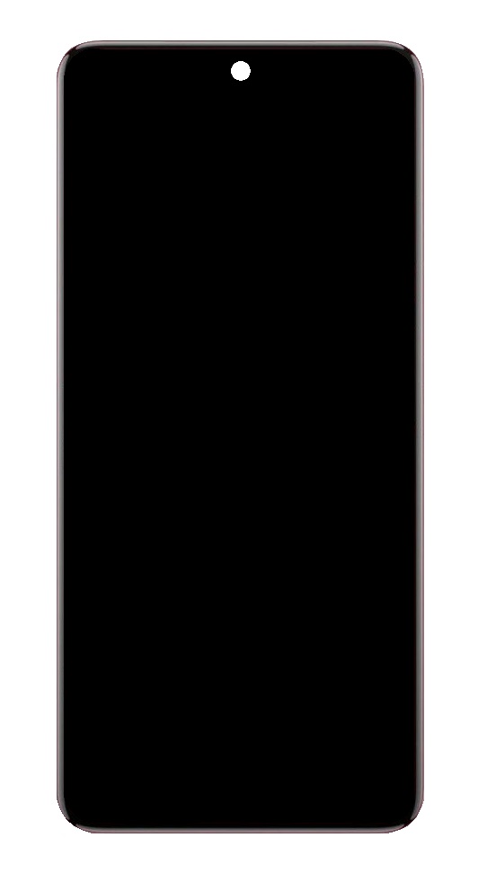 LCD Screen for Vivo V50 - Replacement Display by Maxbhi.com
