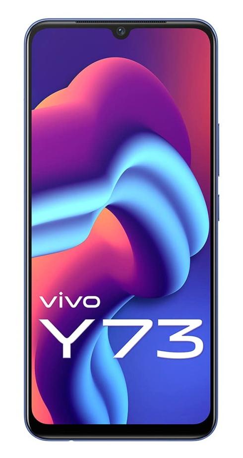 Vivo Y73 Spare Parts & Accessories by Maxbhi.com