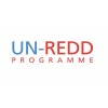 Redd by Maxbhi.com