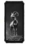 Ulefone Armor 28 Pro 5G Spare Parts & Accessories by Maxbhi.com