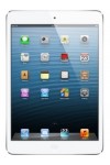 Apple iPad mini Wi-Fi Spare Parts & Accessories