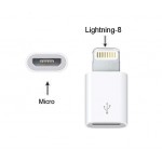 Micro Usb To 8 Pin Lightning Converter For Apple Ipad Mini - Maxbhi Com