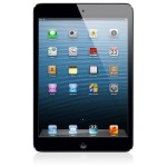 Back Panel Cover for Apple iPad 64GB WiFi - Black