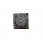 Camera for Gfive Pro