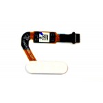 Home Button Flex Cable for Huawei P20