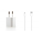 Charger for Spice Mi-423 Smart Flo Ivory 2 - USB Mobile Phone Wall Charger