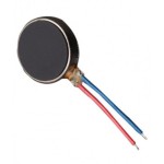 Vibrator for Intex Staari 12