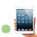 Home Button For Apple iPad mini - Green
