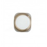Home Button Outer For Apple Iphone 5s Gold By - Maxbhi Com