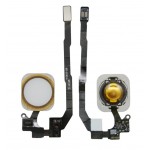 Home Button Complete For Apple Iphone 5s 64gb Gold By - Maxbhi Com