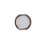 Home Button Outer For Apple Ipad Air 2 Gold By - Maxbhi Com