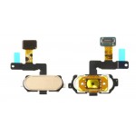 Home Button Complete For Samsung Galaxy On Max Gold By - Maxbhi Com