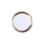 Home Button Outer For Apple Ipad Pro 9 7 Wifi Cellular 128gb Gold By - Maxbhi Com