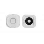 Home Button Outer For Apple Ipod Touch 64gb 5th Generation Red By - Maxbhi Com