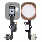 Fingerprint Sensor Flex Cable For Apple Iphone 6s Plus Rose Gold By - Maxbhi Com