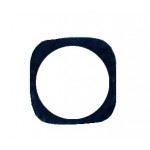 Camera Lens For Doogee X5 Max White By - Maxbhi Com