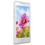 LCD Screen for Intex Aqua Q5