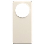 Back Panel Cover For Realme Gt5 Pro Silver - Maxbhi Com