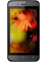 Intex Aqua R4 Plus Spare Parts & Accessories