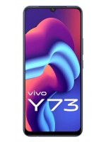 Vivo Y73 Spare Parts & Accessories by Maxbhi.com