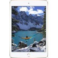 Apple iPad Mini 4 WiFi 16GB Spare Parts & Accessories