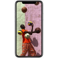 Apple iPhone X 256GB Spare Parts And Accessories by Maxbhi.com