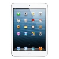 Apple iPad mini Spare Parts & Accessories