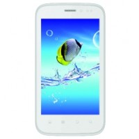 Intex Aqua Flash Spare Parts & Accessories
