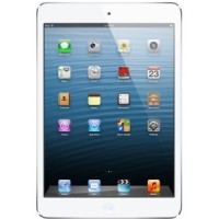 Apple iPad mini 16GB WiFi Plus Cellular Spare Parts & Accessories