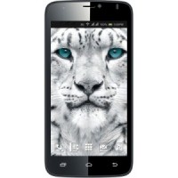 Colors Mobile Xfactor X122 Bold Spare Parts & Accessories