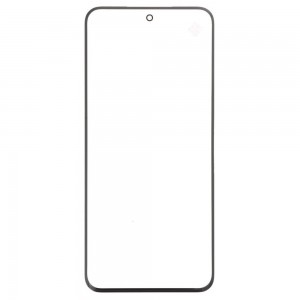 Replacement Front Glass For Honor 100 5g Purple By - Maxbhi Com