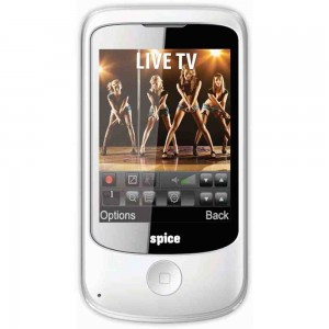 LCD with Touch Screen for Spice M-5566 Flo Entertainer - Black