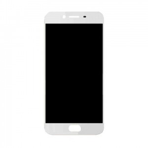 Lcd Screen For Oppo R9s Plus Replacement Display By - Maxbhi Com