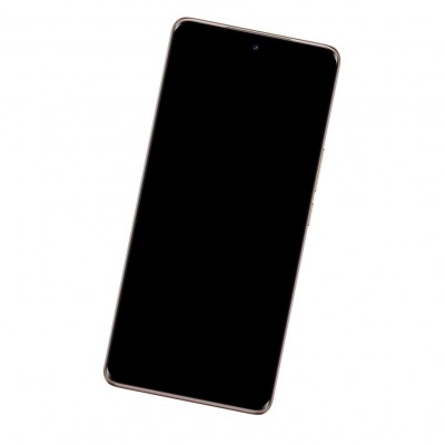 LCD Frame Middle Chassis for Vivo V40e 5G Bronze