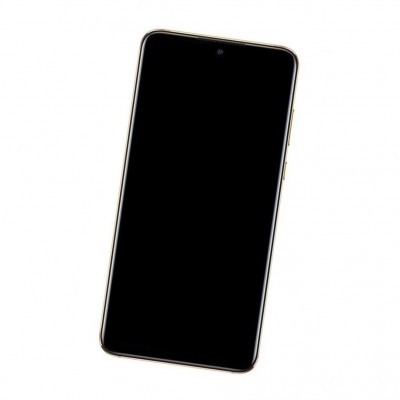 Camera Lens Glass with Frame for Huawei Y Max Brown