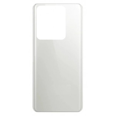 Back Panel Cover For Vivo Y100t Silver - Maxbhi Com