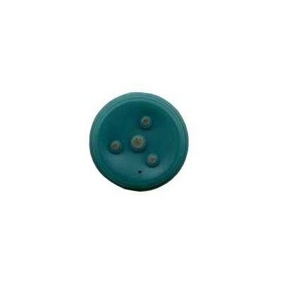Microphone - Mic for LG U8130