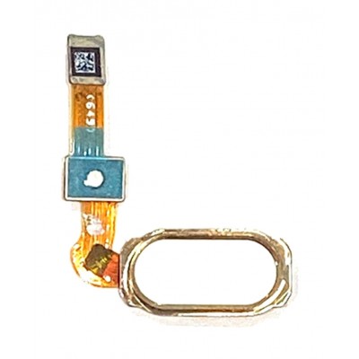 Fingerprint Sensor Flex Cable For Vivo V5 Plus Grey By - Maxbhi Com