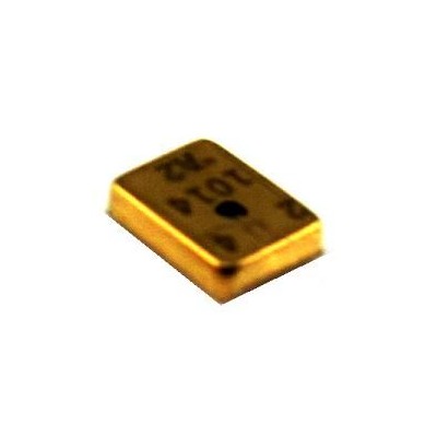 Microphone - Mic for T-Series Play 100