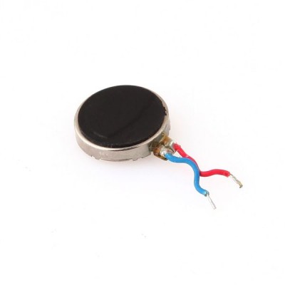 Vibrator for Lemon B479