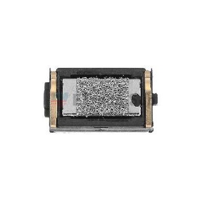 Ear Speaker for Rage Duke