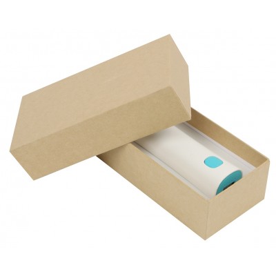 2600 mAh Power Bank by Maxbhi.com - Box Packing