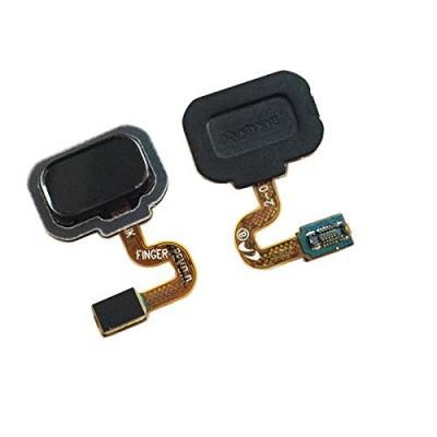 Home Button Flex Cable For Samsung Galaxy Note 8 0by - Maxbhi Com