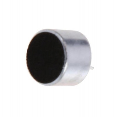 Microphone Mic For Rage Mitwa - Maxbhi Com