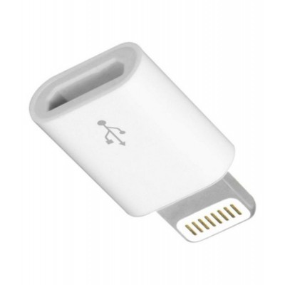 Micro Usb Adapter For Apple Ipad 5 Air White - Maxbhi Com