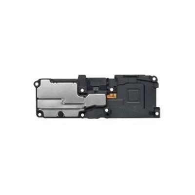 Ringer Loud Speaker For Vivo S5 By - Maxbhi Com