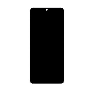 Lcd Screen For Xiaomi Poco M2 Pro Replacement Display By - Maxbhi Com