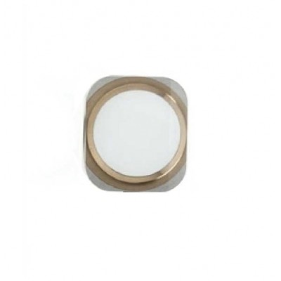 Home Button Outer For Apple Iphone 5s Gold By - Maxbhi Com