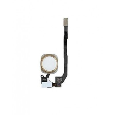 Home Button Complete For Apple Iphone 5s Gold By - Maxbhi Com