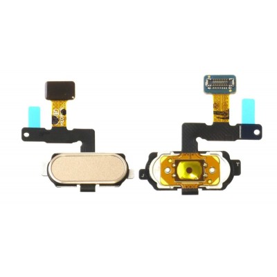 Home Button Complete For Samsung Galaxy On Max Gold By - Maxbhi Com